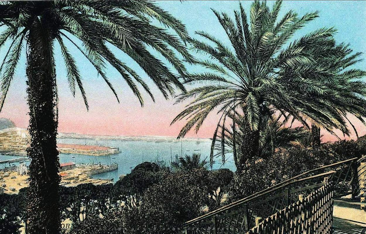 Z ORAN- DIVERS COLORISE - 02.jpg